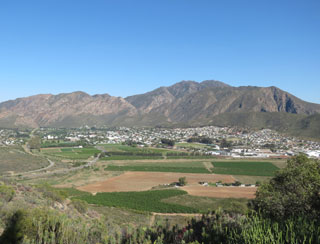 Montagu
